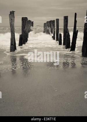 Blick auf die verlassenen Pier auf der St. Clair Strand, mit weißen Insel in der Ferne; Dunedin, Otago, Neuseeland Stockfoto