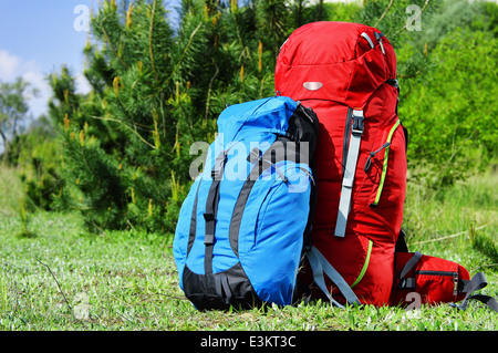 Zwei touristische Rucksäcke auf der Wiese Stockfoto