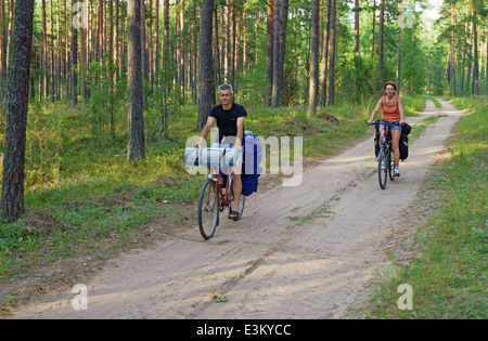 Auf den Wald Straße Reisenden mit dem Fahrrad. Stockfoto