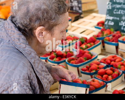 Shopping für Erdbeeren. Eine Frau prüft über die Anzeige von Erdbeeren an einem Markt Lieferanten stand für den besten Korb. Stockfoto