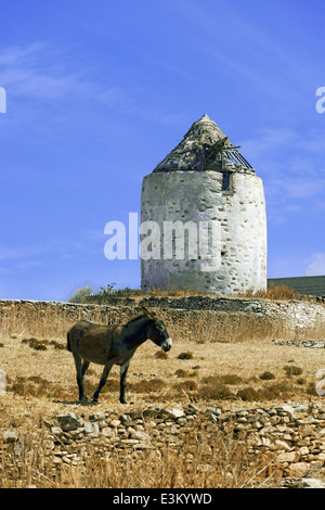 Eine alte traditionelle Windmühle im Dorf Chora (Chora), ein Wahrzeichen der Insel Kythnos, Kykladen, Griechenland Stockfoto