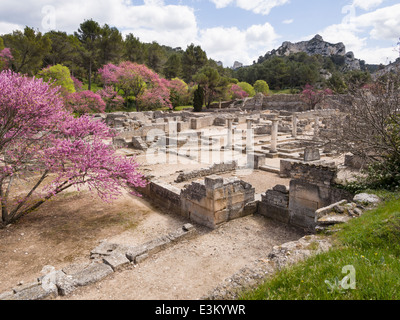Ruinen von Glanum Übersicht Nord. Die umfangreichen Ruinen der römischen Stadt Glanum im Frühjahr. Blühende Bäume säumen die Website. Stockfoto