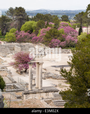 Die ruhigen Ruinen von Glanum Website aussehende Süd. Die umfangreichen Ruinen der römischen Stadt Glanum im Frühjahr. Stockfoto