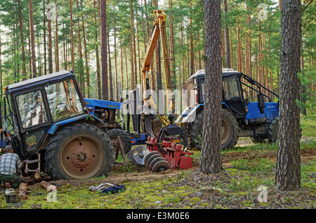 Traktor-Bruch im Holz. Der Traktor gepflügt eine Furche Aufteilung Wald Orte auf einen Feuersturm. Stockfoto