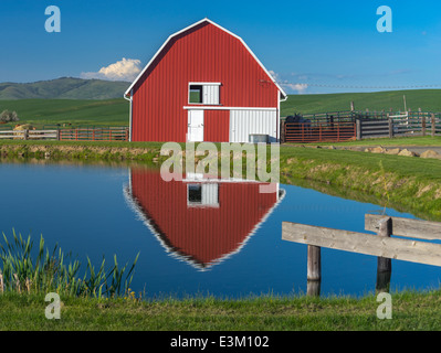 Palouse, Whitman County, WA: Rote Scheune und Teich Reflexion Stockfoto