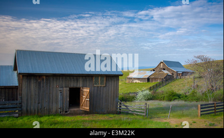 Columbia Hills State Park, WA: Verwitterte Gelände des Dalles Mountain Ranch in die Columbia Hills über den Columbia River Stockfoto