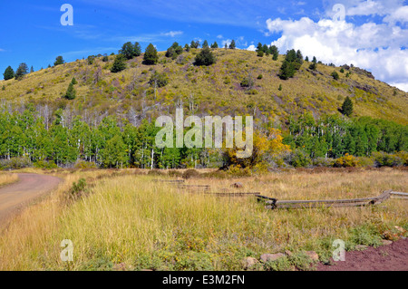 Farn Berg Hart Prairie Stockfoto