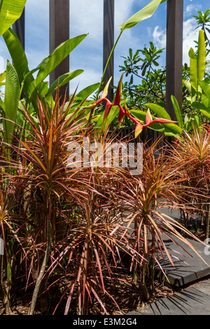 Steinmauer und Balustrade mit Treppen, die zu einem bewachten Eingang in einem üppig grünen Garten in Bali mit Blick auf den Ozean Stockfoto