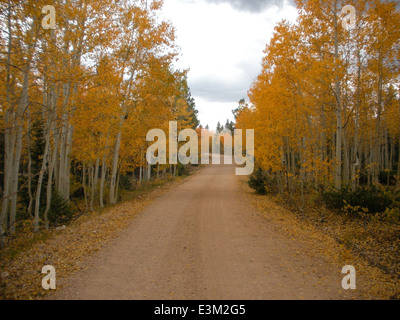 North Kaibab Herbstfarben Stockfoto