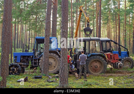 Traktor-Bruch im Holz. Der Traktor gepflügt eine Furche Aufteilung Wald Orte auf einen Feuersturm. Stockfoto