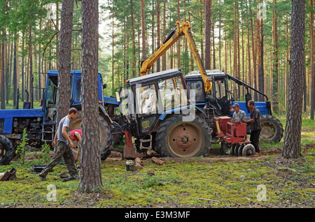 Traktor-Bruch im Holz. Der Traktor gepflügt eine Furche Aufteilung Wald Orte auf einen Feuersturm. Stockfoto