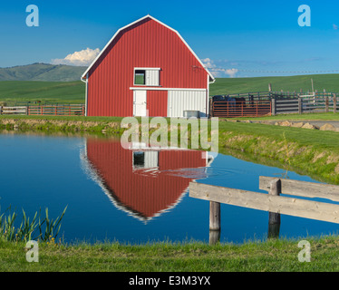 Palouse, Whitman County, WA: Rote Scheune und Teich Reflexion Stockfoto