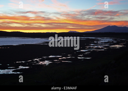 Ein wunderschöner Sonnenuntergang über dem Mormon Lake im Coconino National Forest. Diese ruhige Szene fängt die ruhige und natürliche Schönheit der Gegend vor dem Hintergrund der umliegenden Gipfel ein. Stockfoto