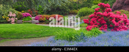 Seattle, WA Kubota Garten Stadtpark, Frühling Tom Kubota Spaziergang Gartenblick Stockfoto