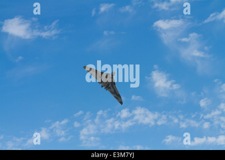 Avro Vulcan Bomber Militärflugzeuge, früher von der britischen Royal Air Force Stockfoto