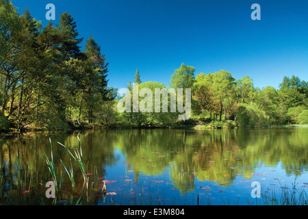 Kilmory Loch, Lochgilphead, Argyll & Bute Stockfoto