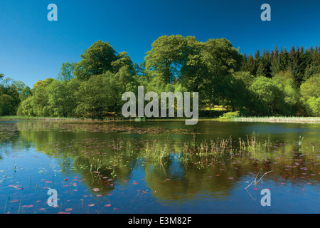 Kilmory Loch, Lochgilphead, Argyll & Bute Stockfoto