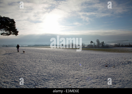 Dogwalker auf Schnee bedeckt Felder auf Torheit Hügel, Faringdon, aufgenommen am Weihnachtstag Stockfoto