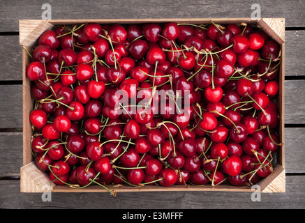 Holzkiste mit frischen Kirschen Stockfoto