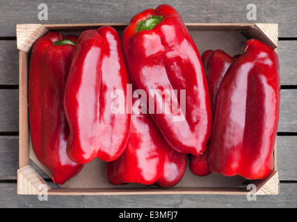 Holzkiste frische Paprika Stockfoto