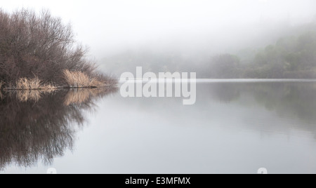 Nebligen See an einem Wintermorgen. Stockfoto