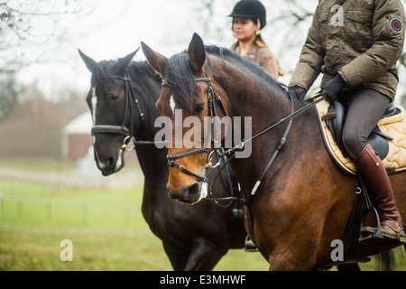 Junges Paar Reitpferde Stockfoto