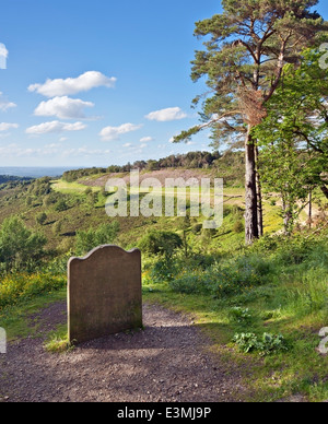 Der Segler-Stein in der Nähe von Gibbet Hill, Kennzeichnung den Ort eines Mordes im Jahr 1786. Mit Blick auf den alten A3 Hindhead. Stockfoto