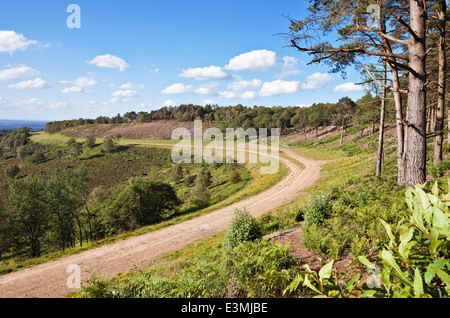 Die Lage der alten A3 London Portsmouth Road in Hindhead, nach zurück zu Heide wiederhergestellt wird. Juni 2014. Stockfoto