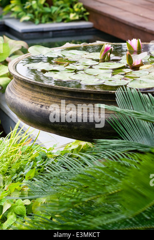 Kleines Wasserspiel mit Nymphaea, Seerose in Stein Urn/Pflanzgefäß. Stockfoto