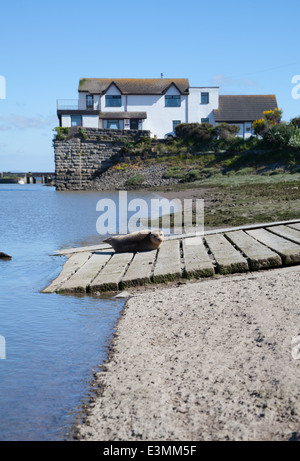 Zwei wilde Jungrobben Sonnen Sie sich auf eine Slipanlage in Rhyl Voryd / Foryd Hafen, North Wales, an einem sonnigen Sommertag Stockfoto