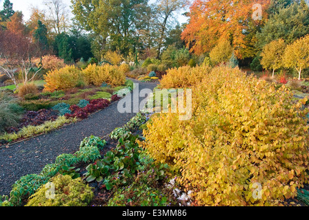 Der Wintergarten im Herbst. Bressingham Gardens, Norfolk, UK, Design: Adrian Bloom. Stockfoto