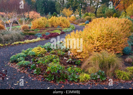 Der Wintergarten im Herbst. Bressingham Gardens, Norfolk, UK, Design: Adrian Bloom. Stockfoto