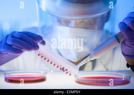 Arbeiten im Labor mit einem hohen Maß an Schutz Stockfoto