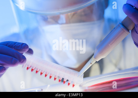 Arbeiten im Labor mit einem hohen Maß an Schutz Stockfoto