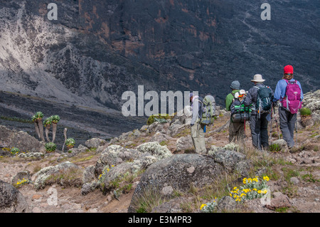 Gruppe nach unten bewegen, bis zum Campingplatz am Barranco nach akklimatisieren am Lava Tower auf dem Kilimandscharo Stockfoto