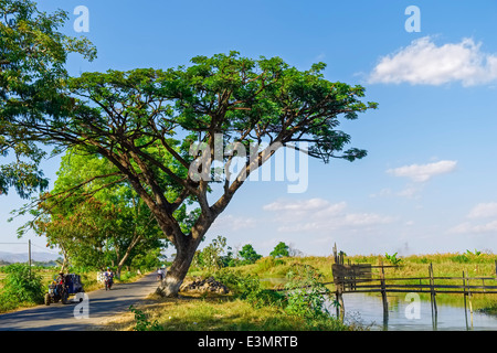 Landstraße in der Nähe von Nyaung Shwe, Myanmar, Asien Stockfoto