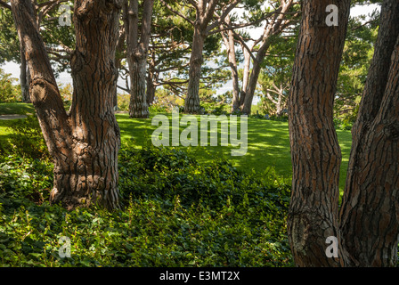 Schöner Garten Rasen rund um Wayfarers Chapel in Palos Verdes mit Blick auf den Pazifischen Ozean in der Nähe von Los Angeles, Kalifornien. Stockfoto