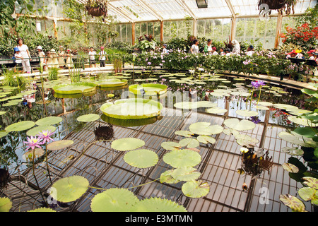 Waterlily House in Kew Botanoc Königsgarten, London, UK Stockfoto