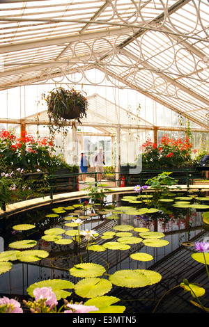 Waterlily House in Kew Botanoc Königsgarten, London, UK Stockfoto