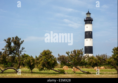 Der Leuchtturm Phare de Chassiron und windgepeitschten Bäume von Küsten Nordwinde, Ile d'Oléron, Charente-Maritime, Frankreich gebogen Stockfoto