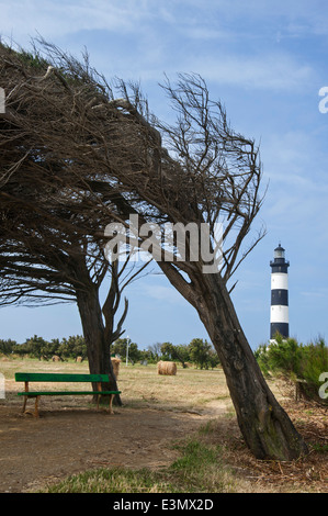 Der Leuchtturm Phare de Chassiron und windgepeitschten Bäume von Küsten Nordwinde, Ile d'Oléron, Charente-Maritime, Frankreich gebogen Stockfoto