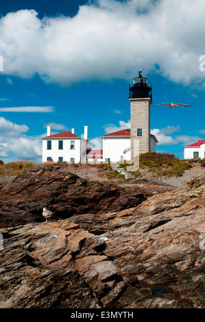 Möwe fliegt in Richtung Tower von beavertail Leuchtturm über einzigartige Felsformationen in Rhode Island. Stockfoto