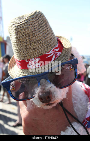 21. Juni 2014 - New York, New York, USA - 2014 Coney Island Meerjungfrau Parade.This diesjährige King Neptune ist Dante de Blaiso der Sohn von New Yorks Bürgermeister Bill de Blasio und Queen Mermaid ist seine Tochter Chiara de Blasio (Credit-Bild: © Bruce Cotler/Globe Photos/ZUMAPRESS.com) Stockfoto