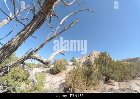 Ein Blick auf die Landschaft am Kasha-Katuwe Zelt Rocks National Monument, New Mexico, USA. Stockfoto