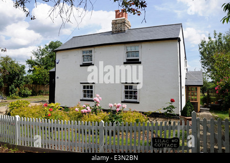 Weiß lackiertes zweistöckigen 17. Jahrhundert Flieder Cottage mit Lattenzaun vor, Bayford Dorf, Hertfordshire England Großbritannien UK Stockfoto