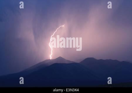 Monsunstürme bringen dramatisches Wetter auf die San Francisco Peaks im Coconino National Forest. Diese saisonalen Regenfälle tragen zur üppigen Landschaft bei und sind für die Erhaltung der vielfältigen Ökosysteme des Waldes unerlässlich. Stockfoto