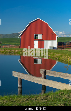 Palouse, Whitman County, WA: Rote Scheune und Teich Reflexion Stockfoto