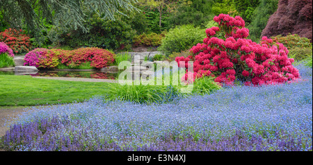 Seattle, WA Kubota Garten Stadtpark, Frühling Tom Kubota Spaziergang Gartenblick Stockfoto