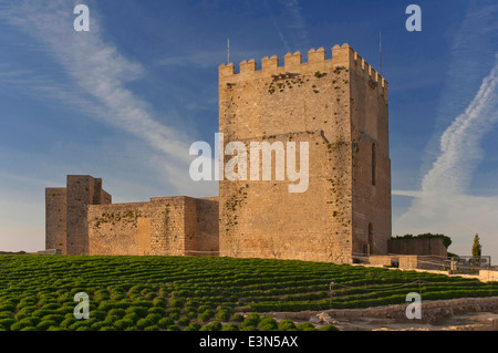 Alcazaba, La Mota Festung, Alcalá la Real, Jaen-Provinz, Region von Andalusien, Spanien, Europa Stockfoto