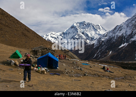 HIMAL CHULI Zwerge ein trekking Camp im Dorf SAMDO auf der ganzen MANASLU Trekking - NUPRI REGION NEPALS Stockfoto